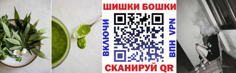 Canna-Cookies марихуана  hydra ТОР  Дно 