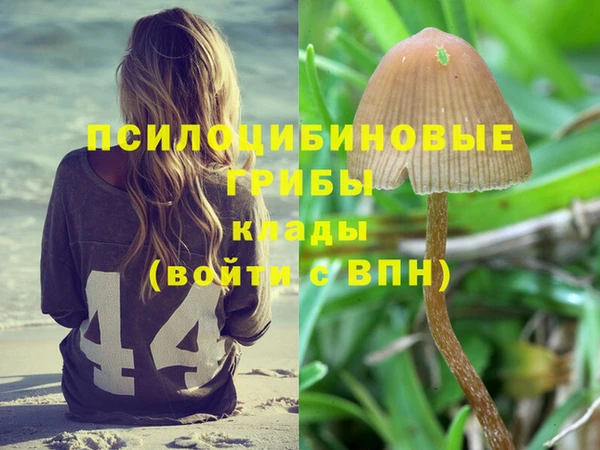 кокаин колумбия Михайлов