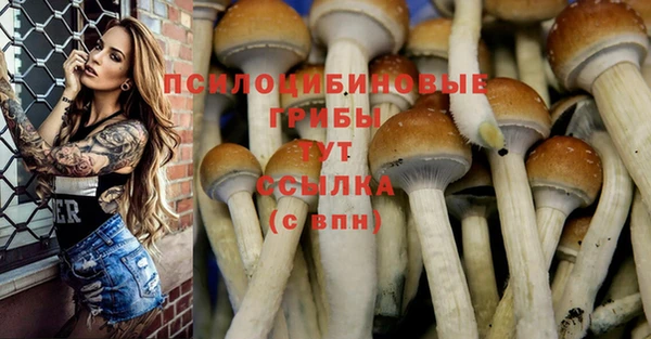 метамфетамин Медногорск
