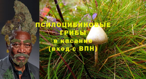 кокаин колумбия Михайлов