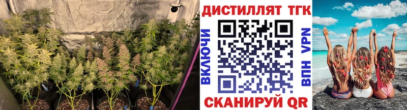 Дистиллят ТГК жижа Дно