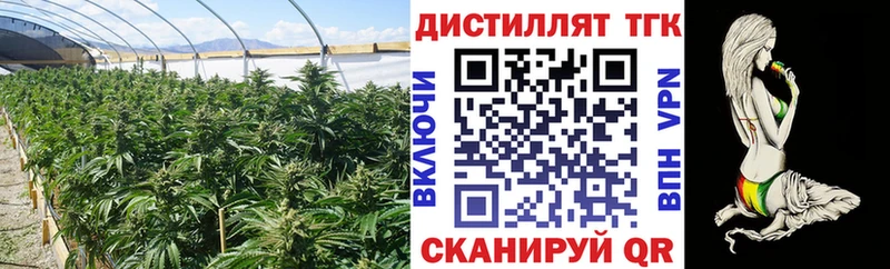 цена   Дно  ТГК THC oil 
